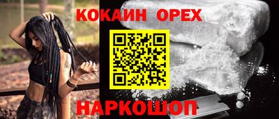 индика Лесосибирск