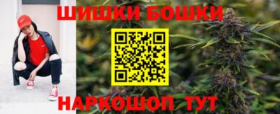 индика Лесосибирск